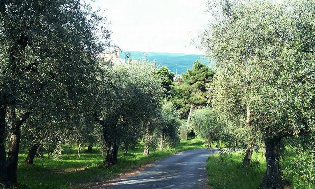 Podere Gianpaolo Пеша Экстерьер фото